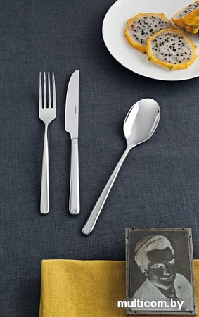 Набор столовых приборов Sambonet Linear 52513-81