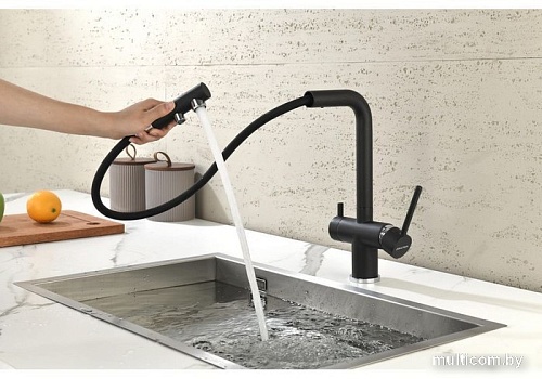 Смеситель Paulmark Serpentine Se213222-418 (черный/черный металлик)