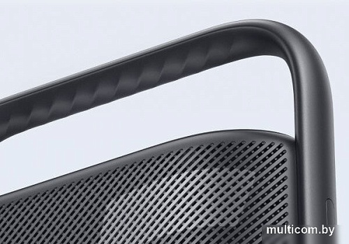 Беспроводная колонка Anker SoundCore Motion X500 (черный)