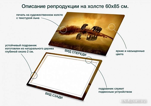 Картина Stamprint Солнечные слоны AM002 (60x85)