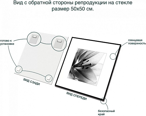 Картина Stamprint Листья 1 BW007 (50x50)