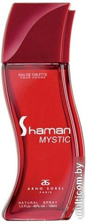 Туалетная вода Arno Sorel Shaman Mystic Man EdT (100 мл)