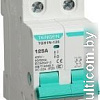 Выключатель нагрузки Tengen TGH1N-125, 2P, 32A, 2M TEN340012