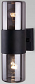 Уличный настенный светильник Elektrostandard Roil 35125/D (черный/дымчатый)
