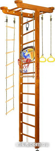 Детский спортивный комплекс Kampfer Big Sport Ceiling Basketball Shield (3 м, классический)