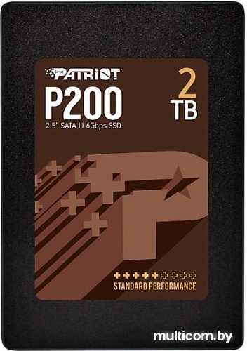 SSD Patriot P200 2TB P200S2TB25
