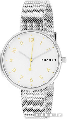 Наручные часы Skagen SKW2623