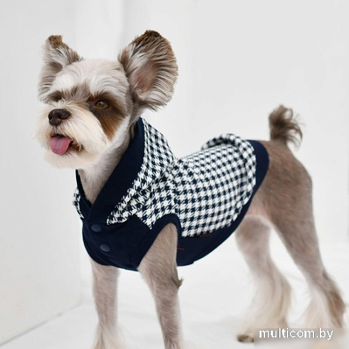 Футболка Puppia Collette PAUA-TS1805-NY-L (L, синий)
