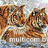 Набор для вышивания Белоснежка Амурские тигры 2333-14