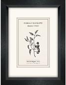 Фоторамка Палитра П730-07/2720 10x15 (черный/белый)