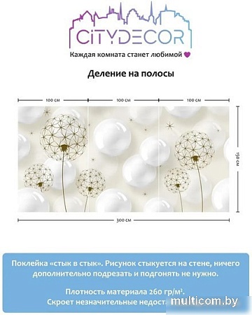 Фотообои Citydecor Абстракция 78 300x150