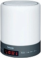 Радиочасы Beurer WL 50
