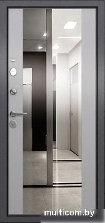 Torex Tau LT MP2 (95x205, левая)