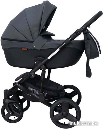 Ray Corsa Ecco (2 в 1, 27)