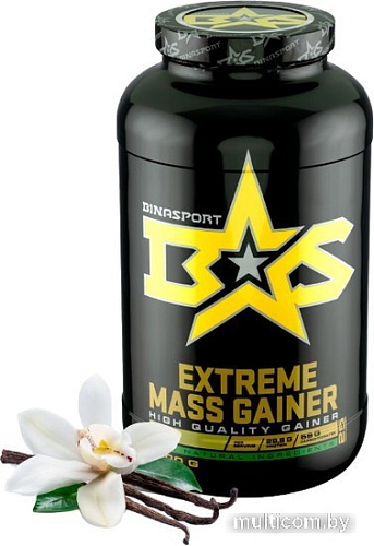 Протеин Binasport Extreme Mass Gainer (2500г, ваниль)