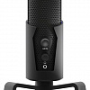 Микрофон Ritmix RDM-290 USB Eloquence