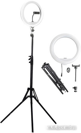 Raylab RL-0112 Kit