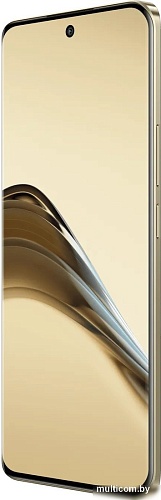 Смартфон Realme 13 Pro+ 8GB/256GB (золотистый)