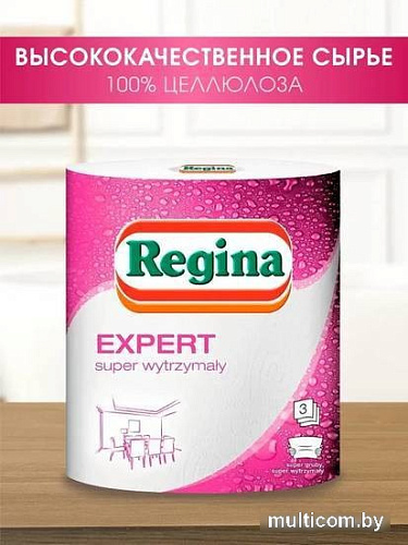 Бумажные полотенца Regina Expert (3 слоя)