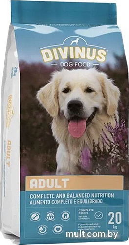 Сухой корм для собак Divinus Adult 20 кг