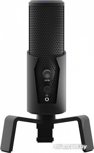 Микрофон Ritmix RDM-290 USB Eloquence