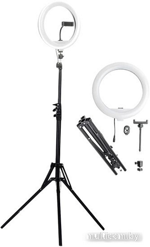 Raylab RL-0112 Kit