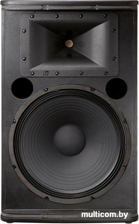 Концертная акустика Electro-Voice ELX115P