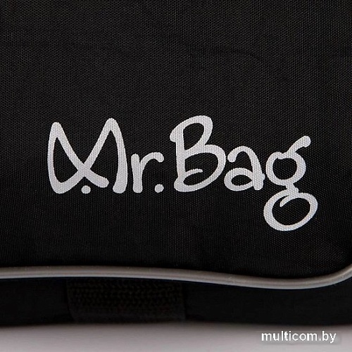 Mr.Bag 020-S059/R-MB-BLK (черный)