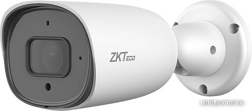IP-камера ZKTeco BS-852T22C-MI