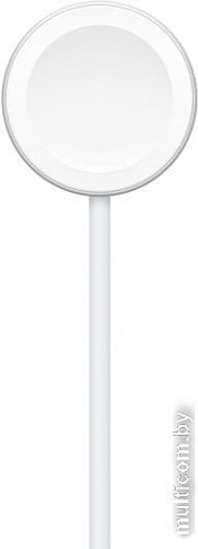 Беспроводное зарядное Apple Watch Magnetic USB-C Fast Charging Cable MLWJ3ZM/A