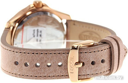 Наручные часы Fossil AM4532