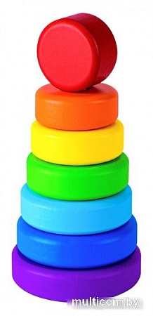 Пирамидка Mega Toys Круг 60106
