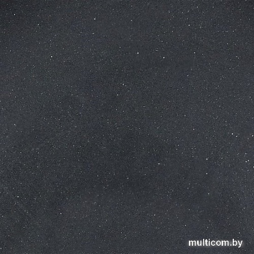 Кухонная мойка Wisent 510-25WR (с сифоном GER013)