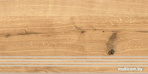 Керамогранит (плитка грес) Cersanit Woodhouse 297x598 (Brown)