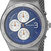 Наручные часы Skagen SKW6154
