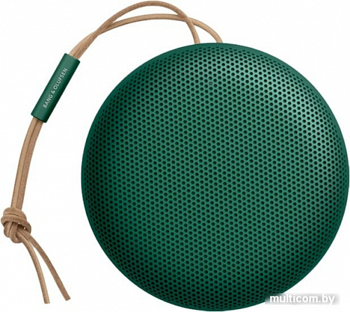 Беспроводная колонка Bang & Olufsen Beosound A1 2nd Gen (зеленый)