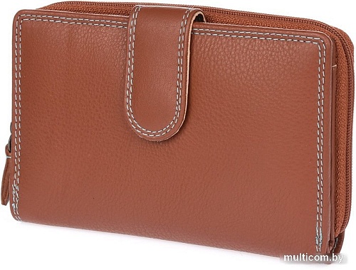 Кошелек Bellugio ED-96R-404 (Tan)