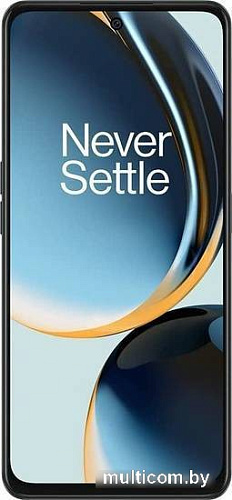 Смартфон OnePlus Nord CE 3 Lite 5G 8GB/256GB глобальная версия (графит)