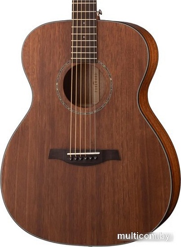 Акустическая гитара Parkwood S22M-NS