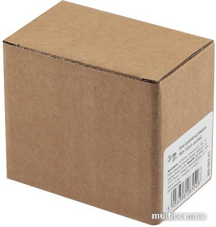 Реле напряжения ЭРА Pro NO-903-41 РКНТ-1 Б0050657