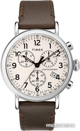 Наручные часы Timex TW2T21000