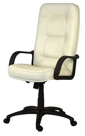 Компьютерные кресла Евростиль Евростиль Пилот Стандарт