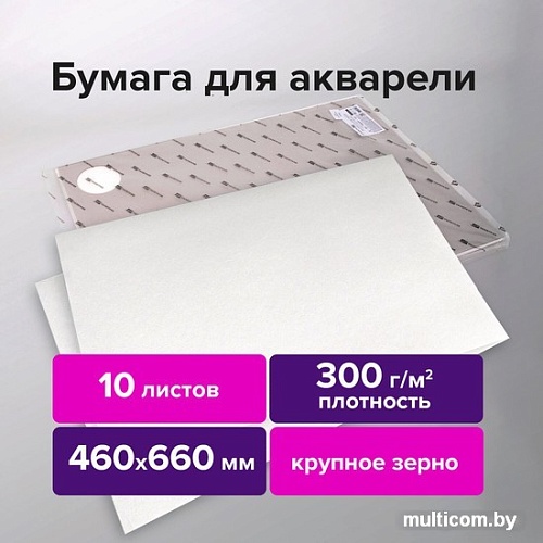 Набор бумаги для рисования BRAUBERG Art Premiere 113234 (10 л)