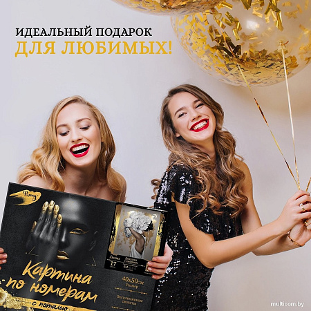 Картина по номерам Молли Ввысь 40x50 HR0408