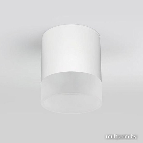 Уличный накладной светильник Elektrostandard Light LED 2107 35140/H (белый)