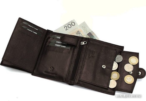 Кошелек Sanchez Casual AM-102R-123A (коричневый)