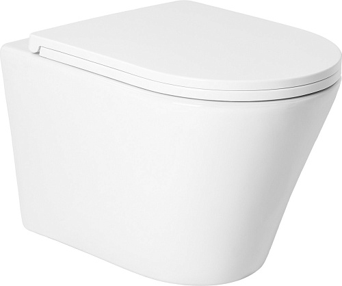 Сиденье для унитаза Saniteco KW-2 (с микролифтом)