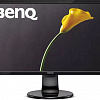 Монитор BenQ GL2460BH