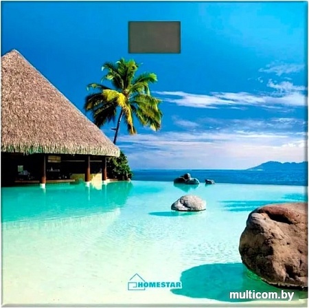 Напольные весы HomeStar HS-6001H