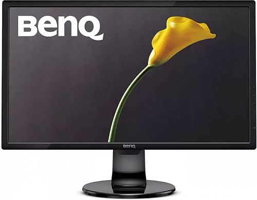 Монитор BenQ GL2460BH